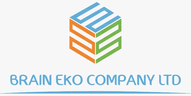 BRAIN EKO COMPANY LTD